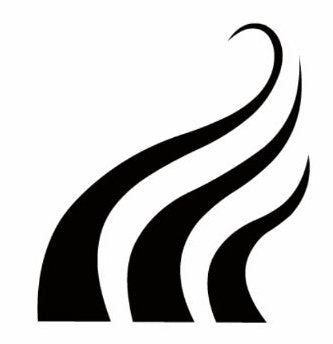 MN) Shampoo Anticaída con Chile, Cacahuananche y Alcanfor. (Rinde 1 mes) - Volosy, Soluciones para la calvicie.